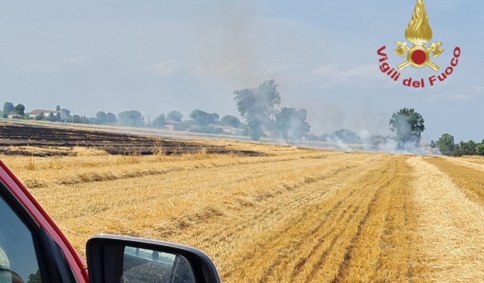 A fuoco sterpaglie e un campo di grano: arrivano i Vigili del Fuoco