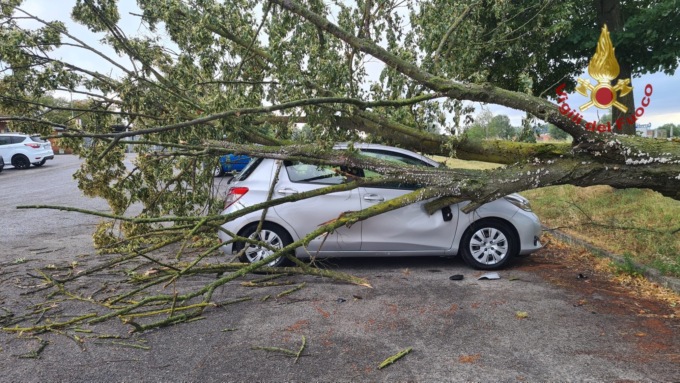 Maltempo in provincia di Pavia, albero cade su un’auto: conducente illeso