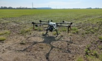 In Lombardia droni a difesa delle coltivazioni: prime prove sul riso in Lomellina