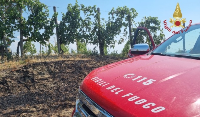 Vasto incendio a Montescano, le fiamme danneggiano un vigneto