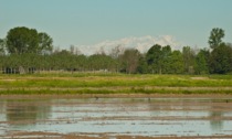 Più che raddoppiate le importazioni di riso dalla Cambogia, è allarme in provincia di Pavia
