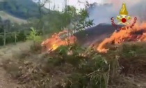 I video dell'incendio che ha colpito un vasto vigneto in Oltrepò