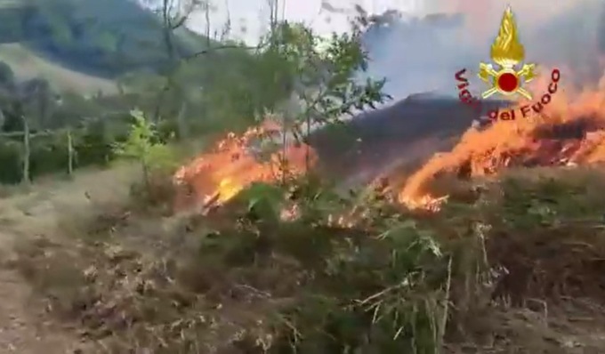 I video dell’incendio che ha colpito un vasto vigneto in Oltrepò