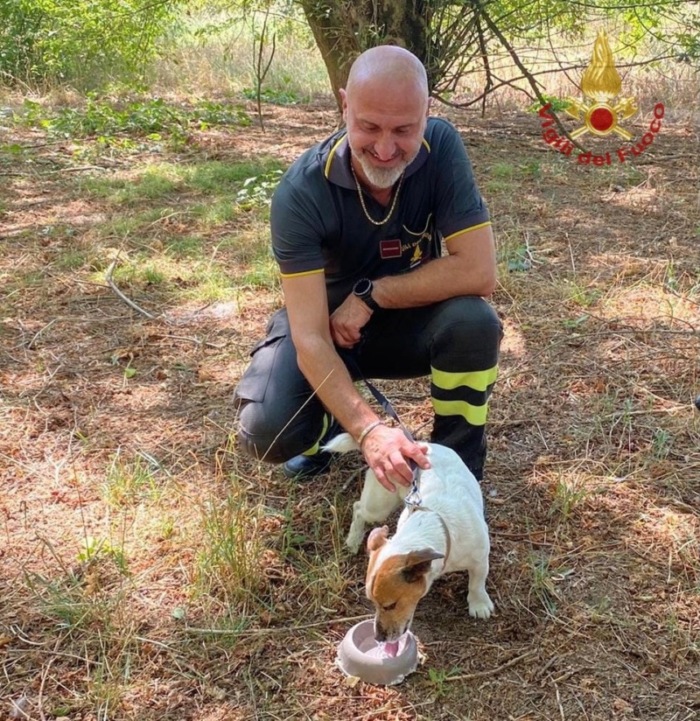 Il cucciolo salvato dai pompieri