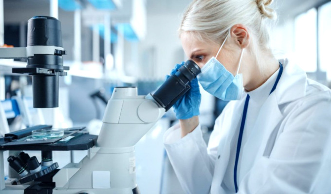 Un ovaio in 4D per studiare l’infertilità: la ricerca dell’Università di Pavia