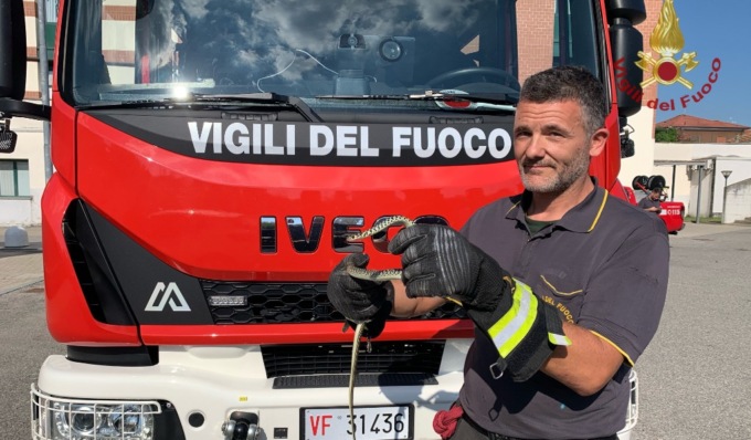 Un rettile si aggira davanti all’Istituto di cura, recuperato dai Vigili del Fuoco