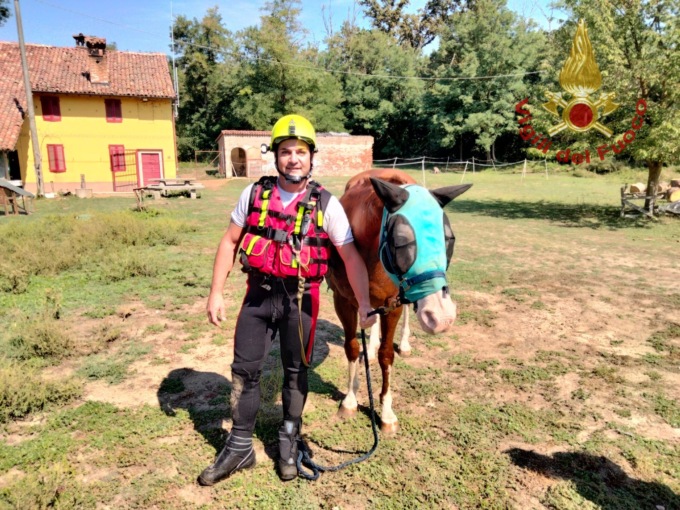 Cavallo scivola accidentalmente nel Naviglio, salvato dai Vigili del Fuoco