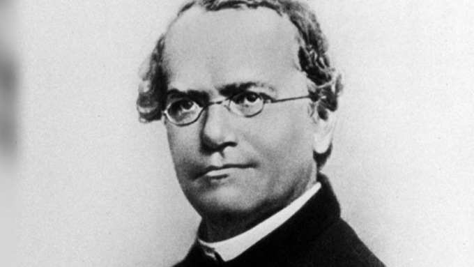 L’Università di Pavia ricorda Gregor Mendel a duecento anni dalla nascita