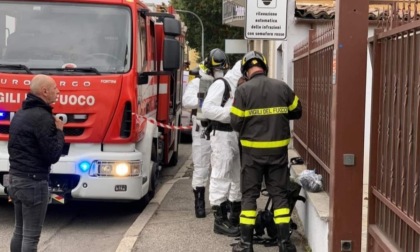 Accumulatrice seriale tiene in casa 50 cani, alcuni morti e putrefatti: denunciata