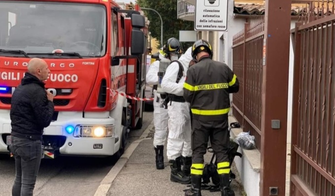 Accumulatrice seriale tiene in casa 50 cani, alcuni morti e putrefatti: denunciata