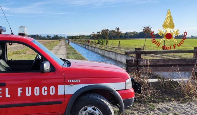 Daino cade in un canale artificiale pieno d’acqua: salvato dai Vigili del Fuoco