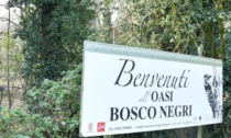 L'Oasi Lipu Bosco Negri compie trent'anni e festeggia con un evento speciale