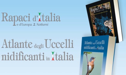 Kosmos presenta i volumi "Rapaci d'Italia e d'Europa: Notturni" e il nuovo "Atlante degli Uccelli nidificanti in Italia"