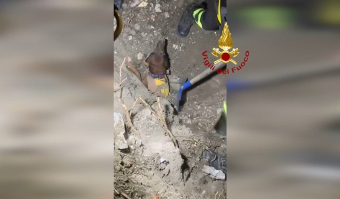 Cane intrappolato in un tubo, il video del salvataggio dei Vigili del Fuoco