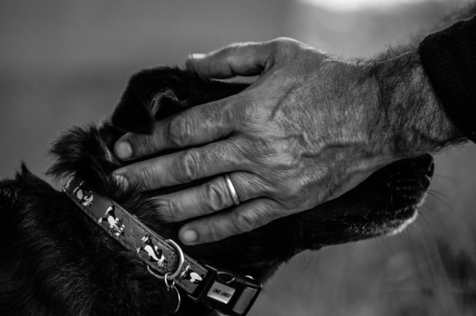 Ritorna a novembre il corso per “Il Patentino per proprietari di cani”