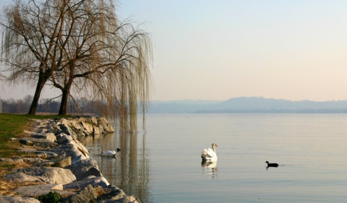 Monitoraggio ecosistemi laghi insubrici, accordo Regione-Università di Pavia
