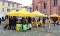 Cesti natalizi al Mercato di Campagna Amica di Pavia, beneficenza a km zero