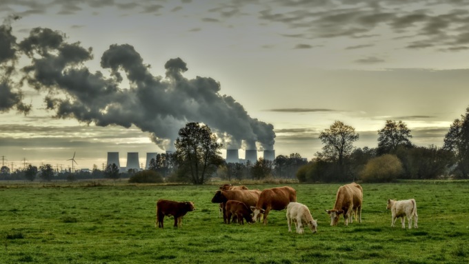 Smog: nel 2022 l’aria peggiore a Milano, ma anche Pavia non se la passa bene