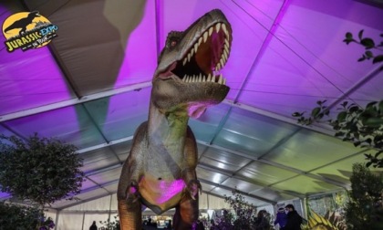 Mostra interattiva sui dinosauri a Pavia con il “Jurassic Expo in Tour”