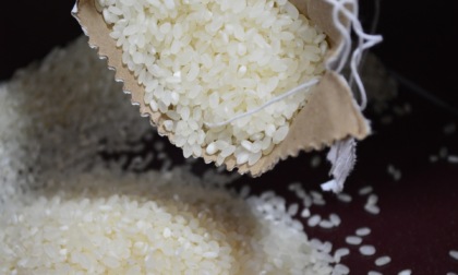 Ancora un riso pavese ritirato dal mercato per presenza di sostanza tossica