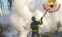 Le foto dell'incendio nei boschi di Miradolo Terme, a fuoco ramaglie e sterpi