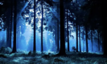 Perso nei boschi a Mezzano di Travacò, 46enne rischia la morte per ipotermia