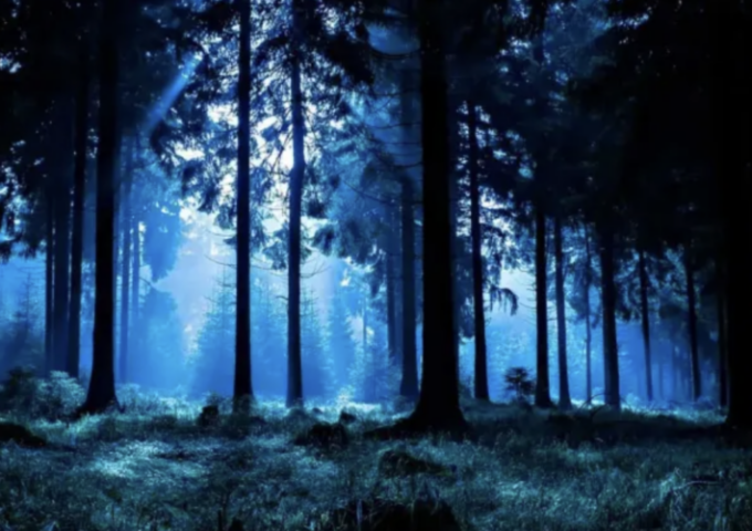 Perso nei boschi a Mezzano di Travacò, 46enne rischia la morte per ipotermia