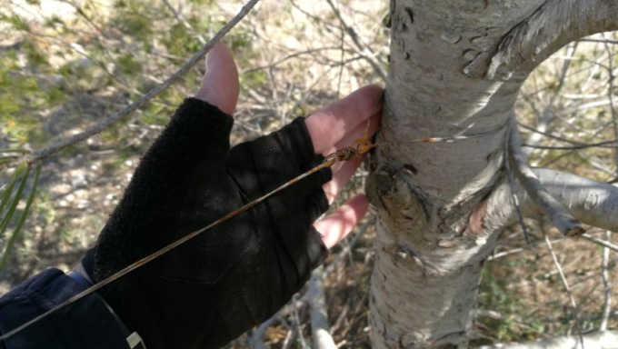 Trappola per ciclisti a Garlasco, trovato un cavo teso tra due alberi