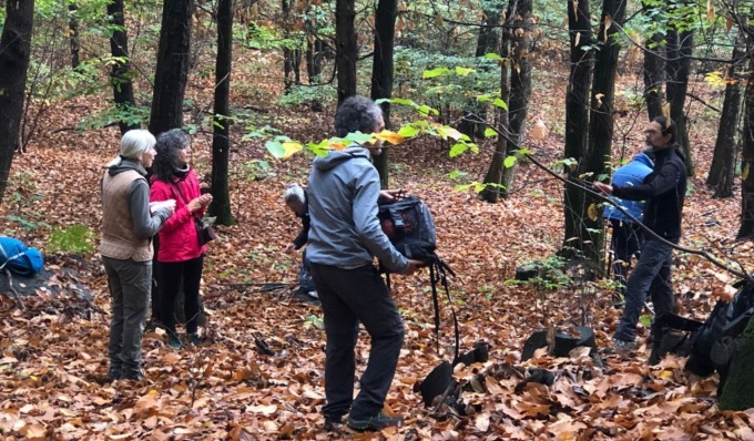All’Oasi Lipu Bosco Negri immersioni nel bosco con il “Forest Bathing”