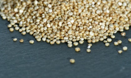 Elevato contenuto di pesticidi, ritirata quinoa bianca confezionata a Vigevano
