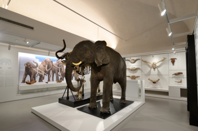 I musei di Pavia aprono ai bambini con il progetto “Disegniamo l’arte 2023”