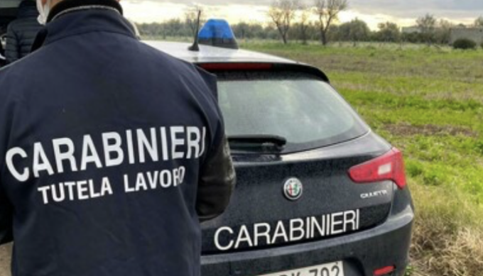 Lavoratori in nero nell’azienda di giardinaggio, denunciati proprietario e amministratrice