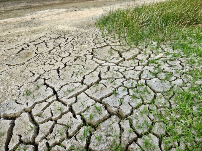Guerra dell’acqua tra Novara e la Lomellina, Confagricoltura Pavia: “Si nega l’evidenza dei numeri”