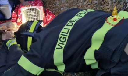 Gatto ferito bloccato in un condotto di scolo, recuperato dai Vigili del Fuoco