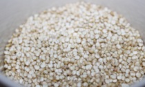Ritirati tutti i lotti di Quinoa Bianca confezionata a Vigevano: elevato contenuto di pesticidi