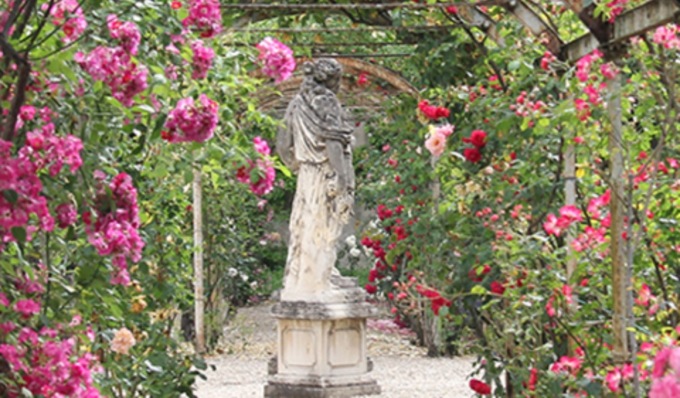 Eventi e Festa del Roseto per i 250 anni dell’Orto Botanico di Pavia