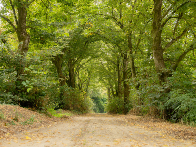 BioBlitz alle Cascine Orsine di Bereguardo, cittadini alla scoperta della biodiversità
