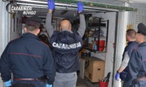 Ben 31 furti e 2 rapine tra Rovigo, Venezia e Ferrara: tra gli arrestati anche un pavese