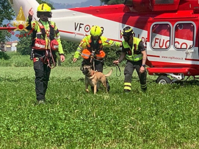 Addestramento unità cinofile: tra loro anche Floki e Margot, cani dei Vvf Pavia