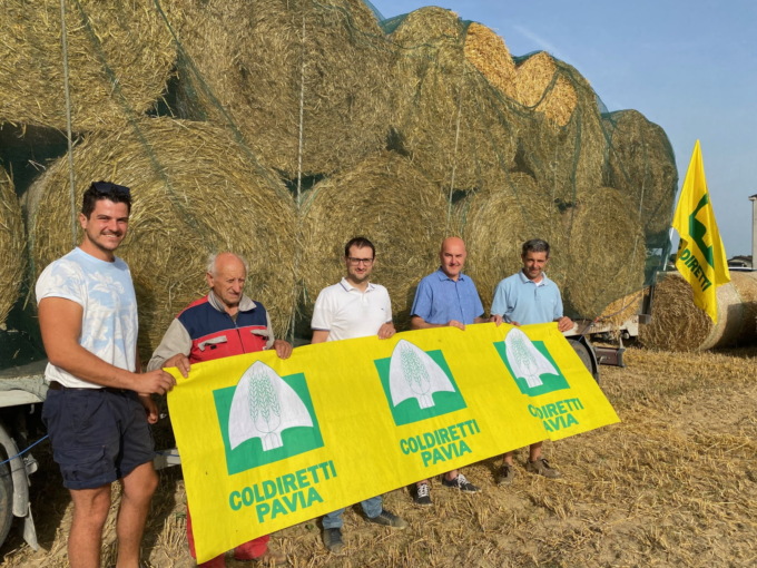 In arrivo nella Romagna alluvionata oltre 300 quintali di fieno