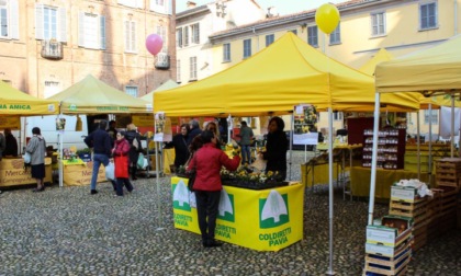 Mercato di Campagna Amica a Pavia, una festa di sapori per celebrare 15 anni di successi