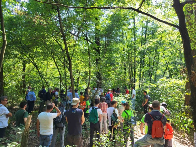 Natura e deperimento delle piante: incontro ed esplorazioni con l’Università di Pavia