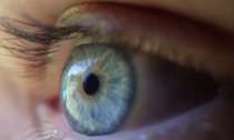 Studio dell'Università di Pavia svela i meccanismi che influenzano le cellule della retina