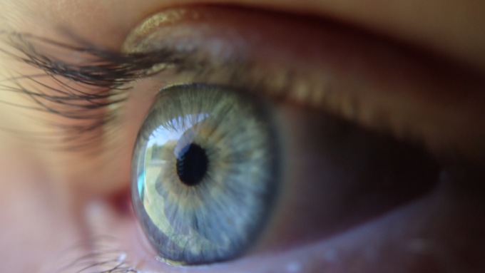 Studio dell’Università di Pavia svela i meccanismi che influenzano le cellule della retina