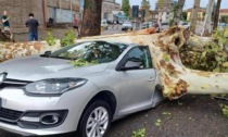 Violento temporale a Vigevano e in Lomellina: tetti scoperchiati, alberi caduti e allagamenti