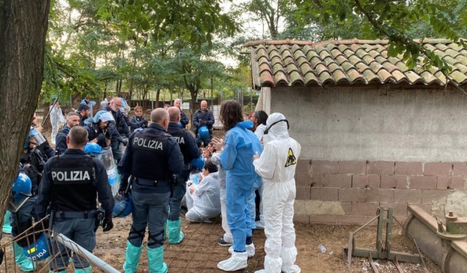 Polizia e Ats entrano nel rifugio Cuori Liberi, attivisti portati via a forza dagli agenti