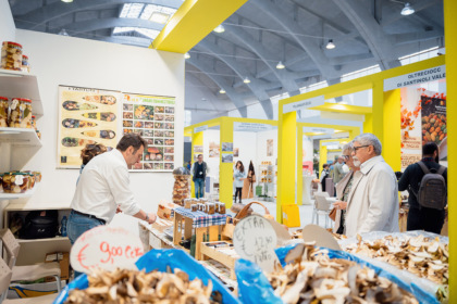 Cosa fare a Pavia e provincia nel weekend: eventi di sabato 3 e domenica 4 ottobre 2026