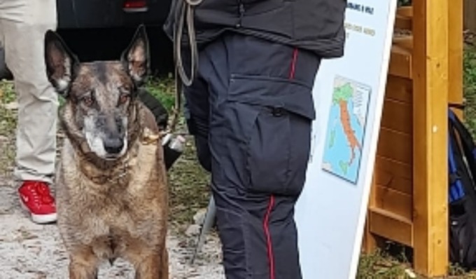 Unità cinofile alla ricerca di esche avvelenate in Oltrepò Pavese