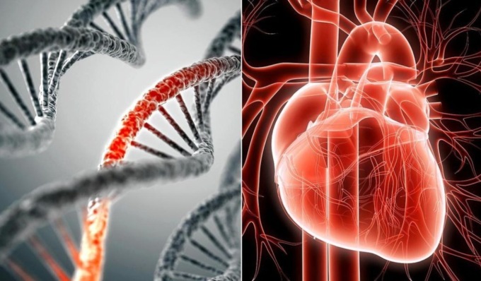 Sostituzione Valvola Aortica con tecnica mininvasiva, lo studio del San Matteo