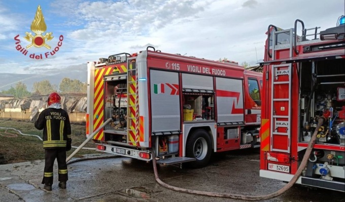 Incendio in allevamento di tacchini, danni ingenti e migliaia di animali morti